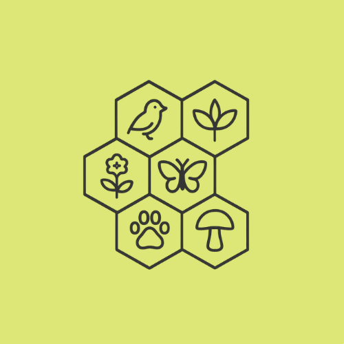 Biotopverbund